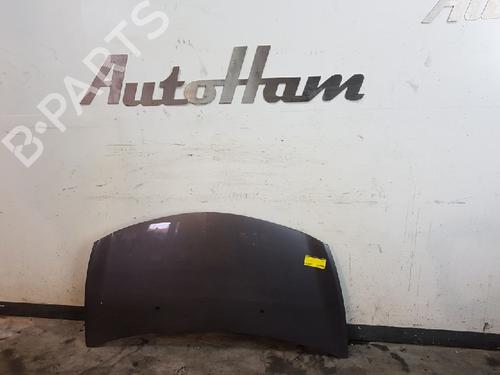 Used Hood RENAULT CLIO III (BR0/1, CR0/1) 1.2 16V (103 hp) 12019333