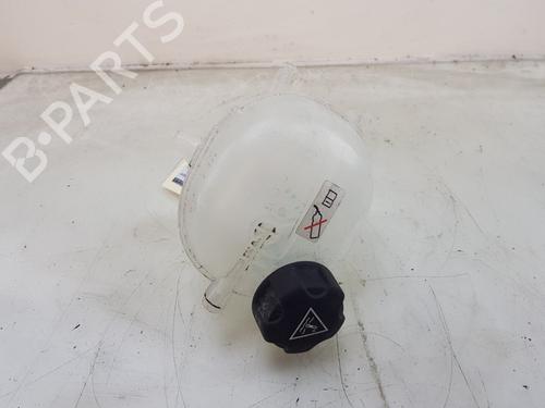 Used Expansion tank PEUGEOT 208 II (UB_, UP_, UW_, UJ_) e-208 (136 hp) 24943319