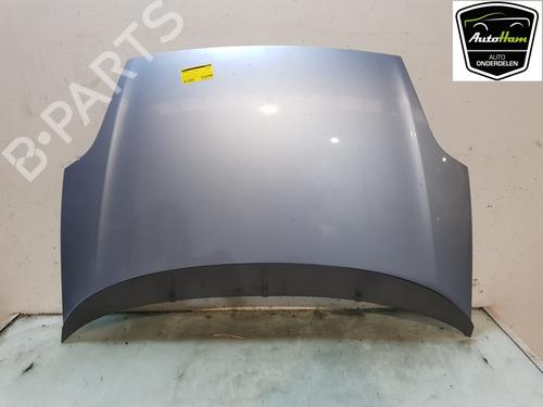 Used Hood FIAT GRANDE PUNTO (199_) 1.4 (199AXB11, 199AXB1A, 199BXB1A, 199AXL1A) (77 hp) 21542825