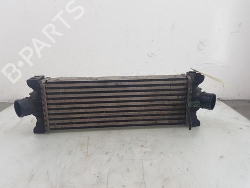 Used Intercooler Intercooler FORD TRANSIT CUSTOM V362 Van (FY, FZ) 2.2 TDCi (100 hp) 27507673 27507673