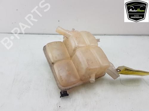 Expansion tank FORD TRANSIT CONNECT V408 Box Body/MPV 1.6 TDCi | BP17004695C120 