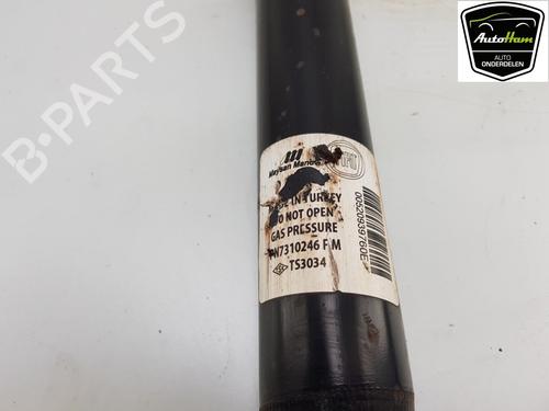 right-rear-shock-absorber-fiat-doblo-cargo-263_-2010-24533272 main image