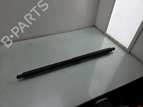 Used Tailgate lift support VW TIGUAN (AD1, AX1) 1.4 eHybrid (245 hp) 30814937