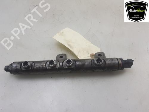 Injection rail LAND ROVER RANGE ROVER SPORT II (L494) 3.0 TDV6 4x4 | BP13657684M98 