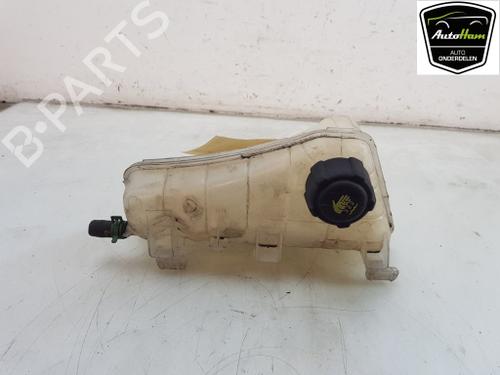 expansion-tank-renault-kangoo-express-fw01_-2008-23390630 main image