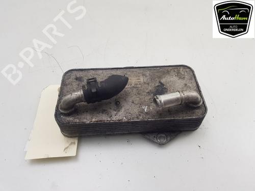 Used Oil radiator Oil radiator VW TIGUAN (AD1, AX1) 2.0 TDI 4motion (150 hp) 18016124 18016124