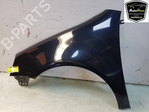Left front fenders VW GOLF V (1K1) 1.6 | BP21098589C41 