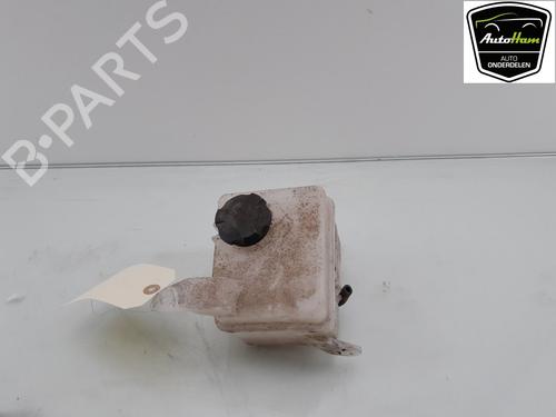 Used Expansion tank HYUNDAI i20 I (PB, PBT) 1.4 (101 hp) 12038630