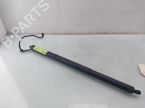 Used Electronic module PORSCHE CAYENNE (92A) 3.0 Diesel (262 hp) 31041066