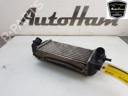 Used Intercooler FIAT 500 (312_) 0.9 (312AXG1A, 312.AXG11) (86 hp) 12038127