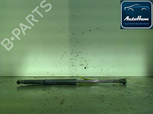 Used Tailgate lift support FIAT GRANDE PUNTO (199_) 1.3 D Multijet (69 hp) 13142487