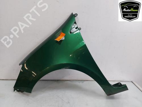 Used Left front fenders RENAULT CLIO III (BR0/1, CR0/1) 1.4 16V (98 hp) 12050294
