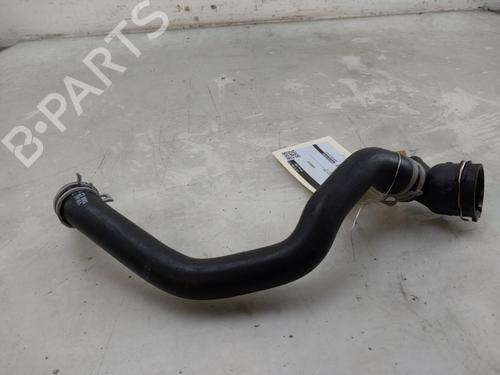 Pipe VW GOLF VIII (CD1, DA1) 2.0 GTI Clubsport | BP29504012M125 