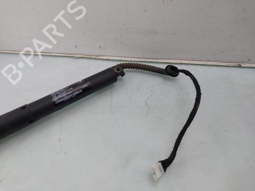 Modulo electronico BMW X5 (F15, F85) xDrive 30 d | BP29545982M83 
