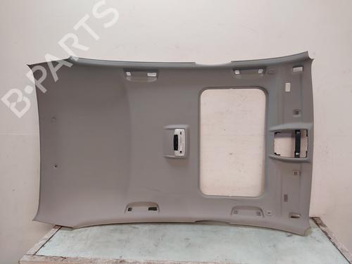 Used Interior roof BMW 1 (F20) 118 i (170 hp) 29504118