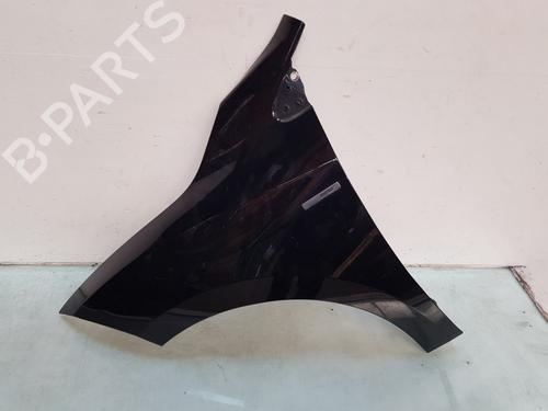Left front fenders RENAULT MEGANE III Grandtour (KZ0/1) 1.4 TCe (KZ0F, KZ1V) | BP25219849C41