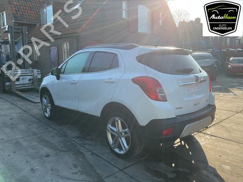 Used Tailgate OPEL MOKKA / MOKKA X (J13) 1.4 (_76) (140 hp) 29061947