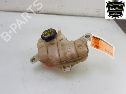 expansion-tank-opel-adam-m13-12-13357140-2012-2013-2014-2015-2016-2017-2018-2019-12042733 main image