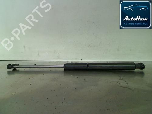 Used Tailgate lift support RENAULT CLIO III (BR0/1, CR0/1) 1.5 dCi (BR0H, CR0H, CR1S, BR1S) (106 hp) 13142539