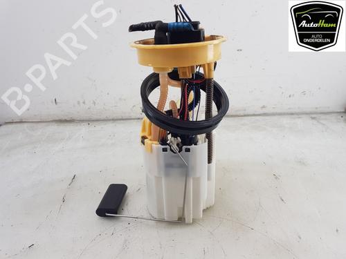 Used Fuel pump VW CADDY IV Box Body/MPV (SAA, SAH) 2.0 TDI (102 hp) 16900973