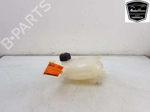 Used Expansion tank RENAULT CLIO V (B7_) 1.6 E-TECH 140 (B7MU) (140 hp) 12041089