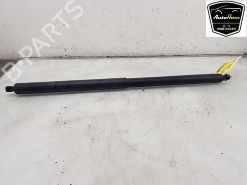 Gassdemper Bakluke TESLA MODEL S (5YJS) 75D AWD (525 hp) 22237106