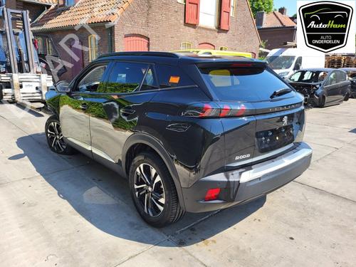 Tailgate PEUGEOT 2008 II (UD_, US_, UY_, UJ_, UR_, UC_) 1.2 PureTech 100 (USHNK) | BP17793140C6 