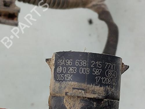 Electronic module PEUGEOT PARTNER Box Body/MPV 1.6 HDi / BlueHDi 75 | BP31923258M83