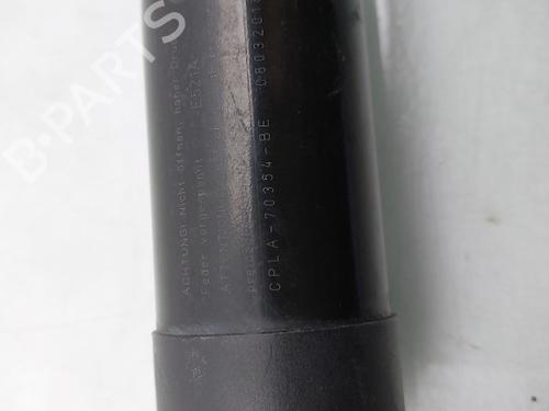 Electronic module LAND ROVER RANGE ROVER SPORT II (L494) 3.0 SDV6 4x4 | BP29910145M83 