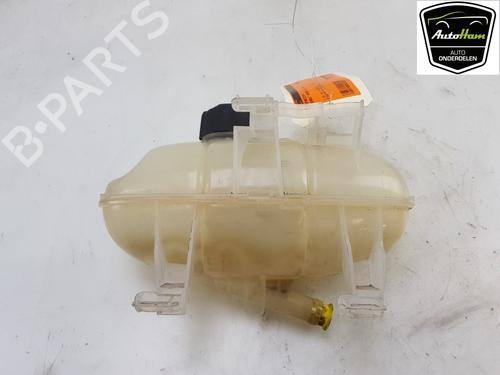 Expansion tank RENAULT KANGOO / GRAND KANGOO II (KW0/1_) 1.2 TCe 115 (KW02, KW14) | BP13108048C120 
