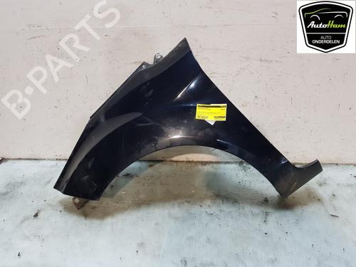 Used Left front fenders FORD FIESTA VI (CB1, CCN) 1.25 (82 hp) 22236972