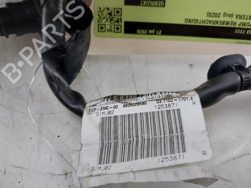 Vacuum pump OPEL FRONTERA (OV24) EV | BP31851977M80