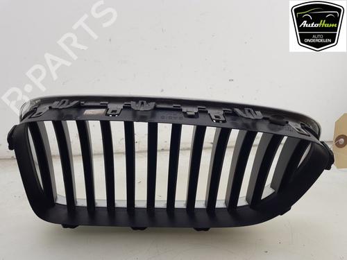 Grille BMW 5 (F10) 520 i | BP16678002C40 