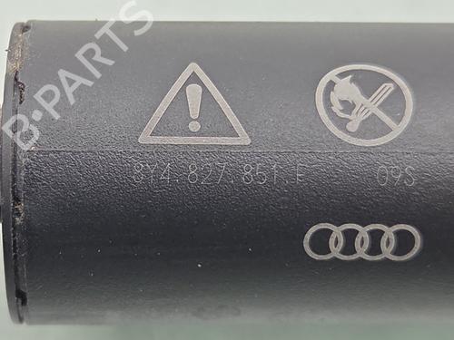 Tailgate lift support AUDI A3 Sportback (8YA, 8YF) S3 TFSI quattro | BP31884528C138