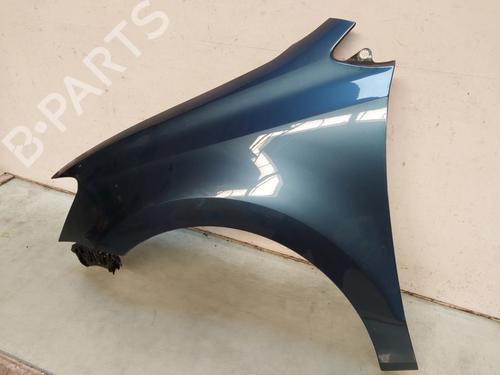 Left front fenders VW POLO V (6R1, 6C1) 1.2 TSI 16V | BP29240496C41 
