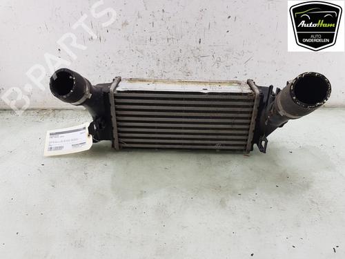 Intercooler FORD FIESTA VII Van 1.0 EcoBoost (101 hp) 29062001