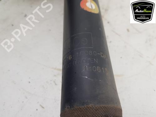 Left rear shock absorber FORD TRANSIT COURIER B460 Box Body/MPV 1.6 TDCi | BP16186144M18 