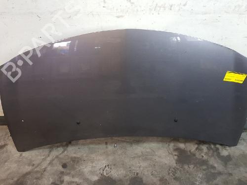 Hood RENAULT CLIO III (BR0/1, CR0/1) 1.2 16V | BP12019333C1 