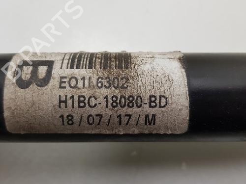Right rear shock absorber FORD FIESTA VII (HJ, HF) 1.0 EcoBoost | BP12024347M19 
