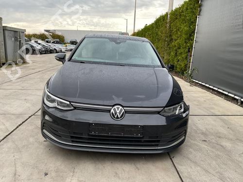 Grill VW GOLF VIII (CD1, DA1) 2.0 TDI | BP30201894C40 