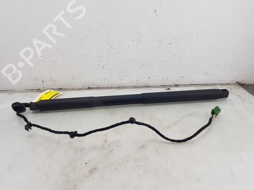 Elektronisk modul MERCEDES-BENZ GLC Coupe (C253) 220 d 4-matic (253.303, 253.305) (163 hp) 25287866