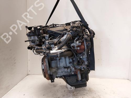 Engine FORD TRANSIT CONNECT V408 Box Body/MPV 1.6 TDCi | BP28112400M1 