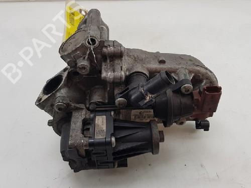 Egr FIAT PUNTO EVO (199_) 1.3 D Multijet | BP12013584M69 