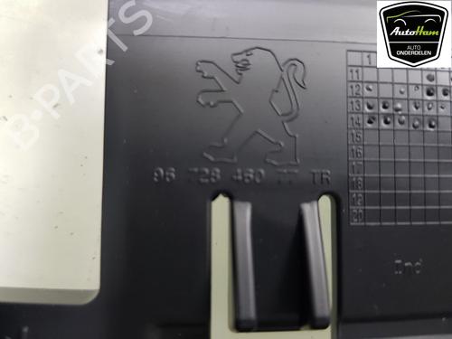 Switch PEUGEOT 208 I (CA_, CC_) 1.2 VTI 82 | BP13148596I30 