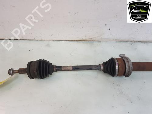 Right front driveshaft VW TRANSPORTER T6 Van (SGA, SGH, SHA, SHH) 2.0 TDI | BP15716078M39 