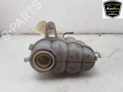 Used Expansion tank AUDI Q5 (8RB) SQ5 TDI quattro (313 hp) 21795657