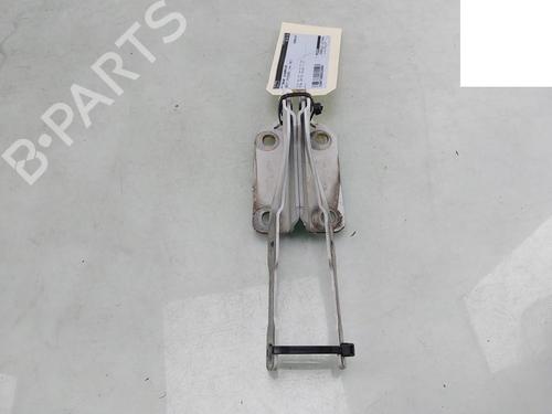 Used Hinge/Door check strap DACIA SANDERO II TCe 90 LPG (B8M1) (90 hp) 28096369