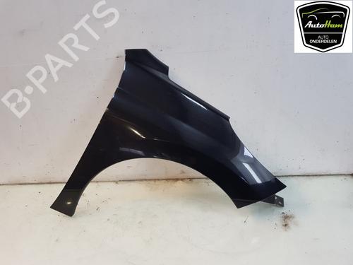 Hood PEUGEOT 207 CC (WD_) 1.6 16V | BP12051468C1