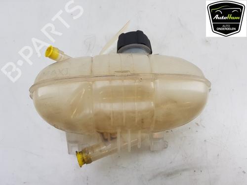 Used Expansion tank RENAULT KANGOO / GRAND KANGOO II (KW0/1_) 1.2 TCe 115 (KW02, KW14) (115 hp) 13108048