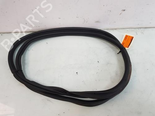 Gummilist Gummilist VW GOLF VIII (CD1, DA1) 1.5 TSI (150 hp) 33266754 33266754